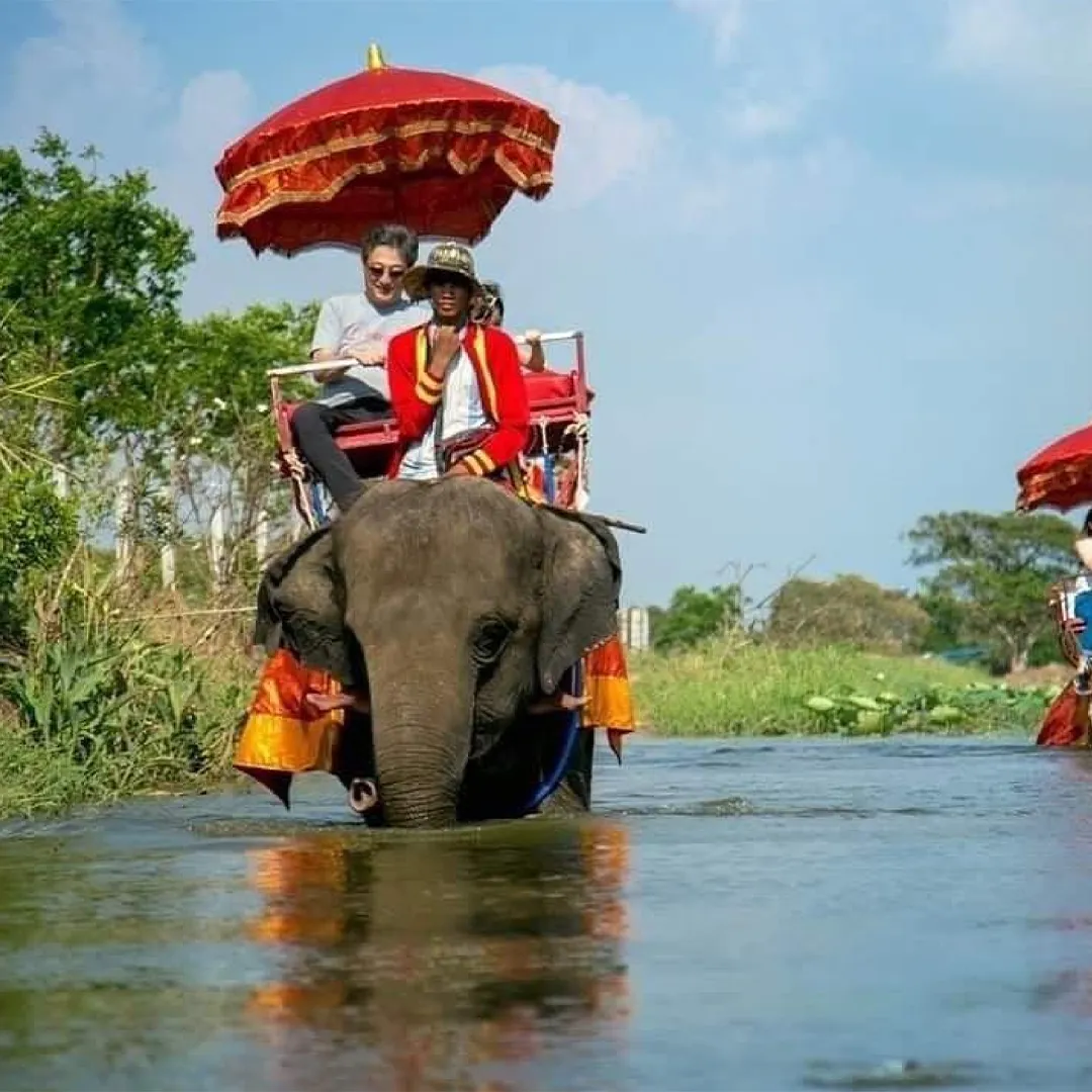 “นั่งช้างลุยน้ำ” ที่เดียวในอยุธยา เปิดประสบการณ์เที่ยวแบบโบราณแท้ๆ